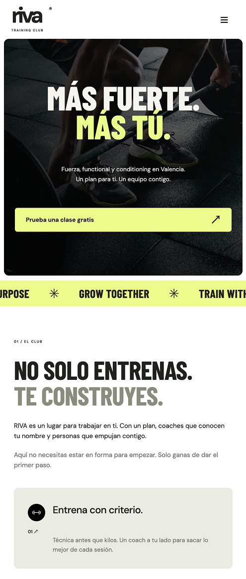 RIVA: Inicio y propuesta de comunidad