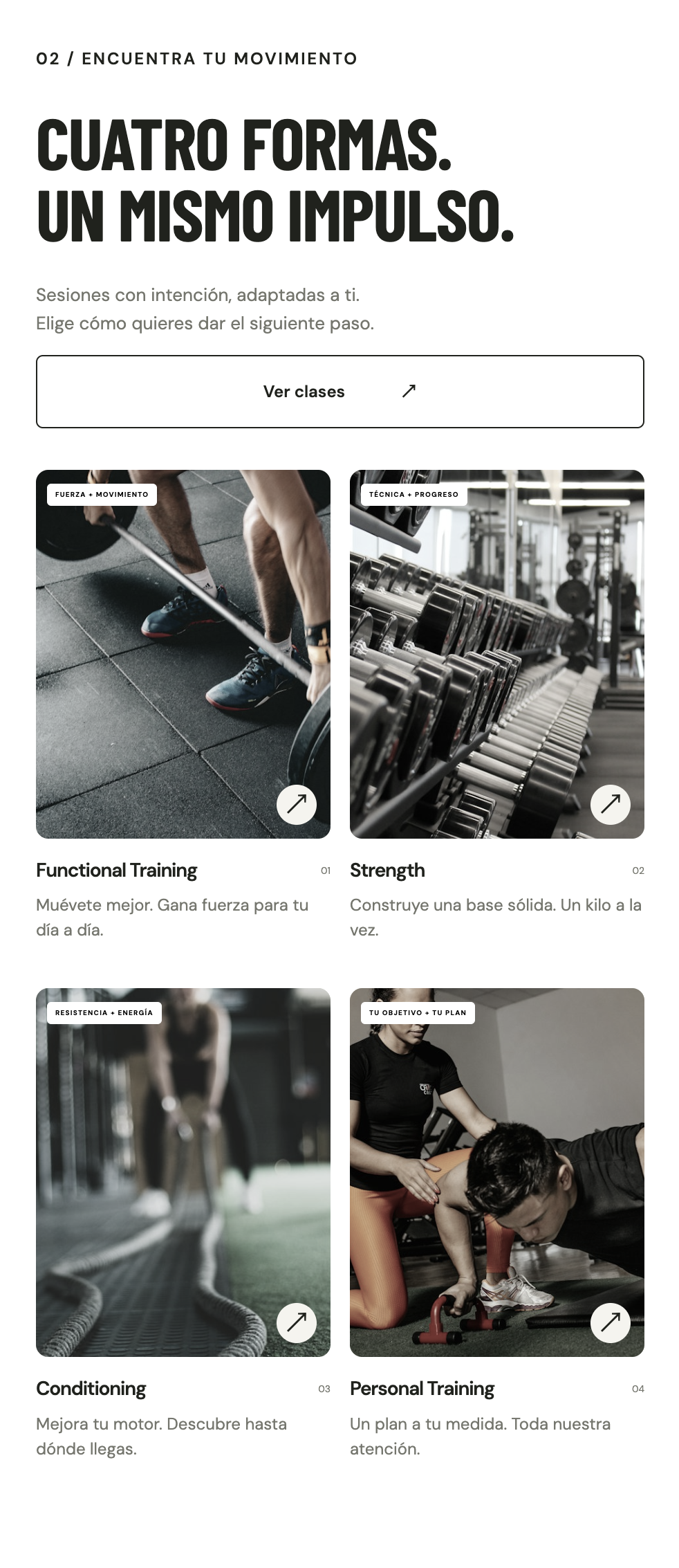 RIVA: Modalidades de entrenamiento